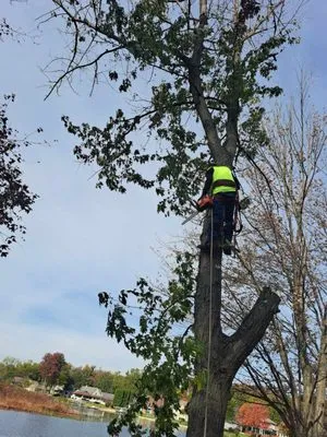 D&S Lawn Service Logo