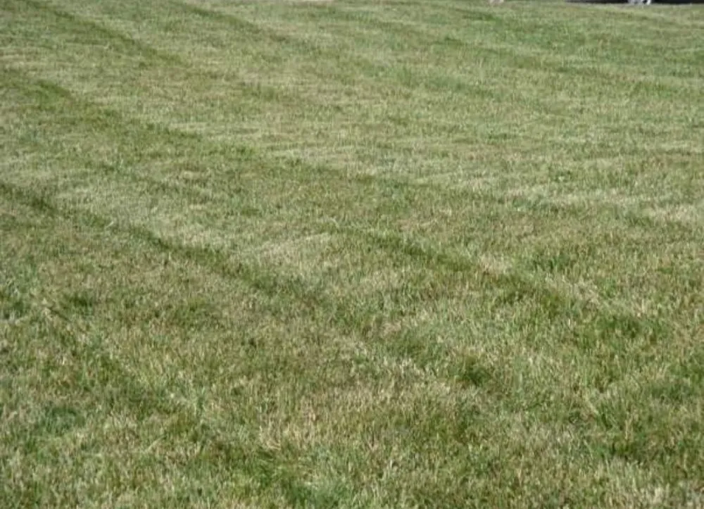 Local residential landscaping in Kansas City, MO - D's Lawncare