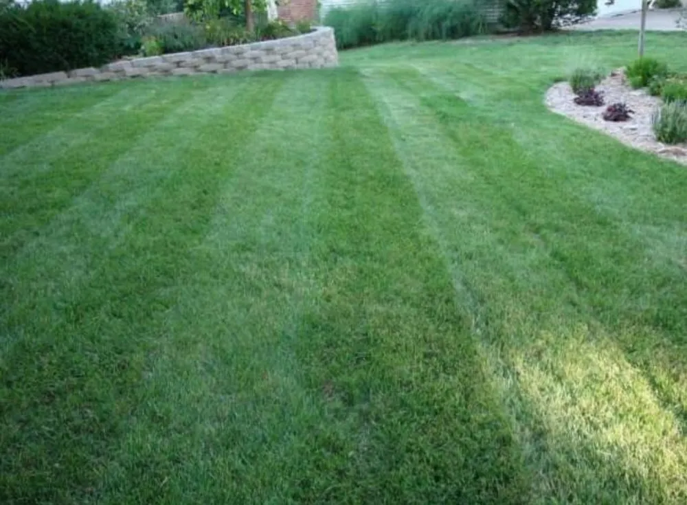 Trusted landscape installation near you across Kansas City, MO - D's Lawncare