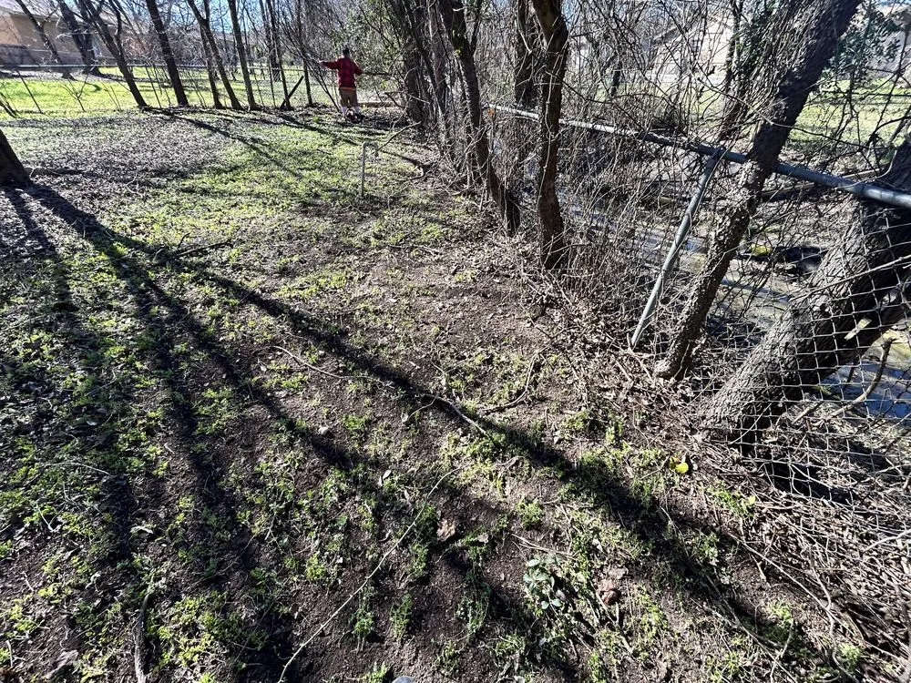 Local lawn mowing service experts serving Killeen, TX - D’s Lawncare