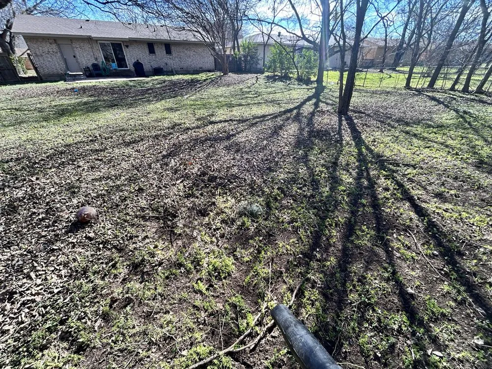 Expert landscape design for year-round maintenance in Killeen, TX by D’s Lawncare