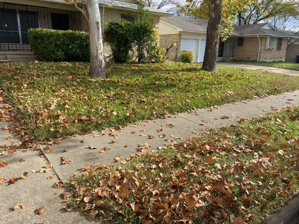 Top-rated outdoor landscaping near you across Killeen, TX - D’s Lawncare