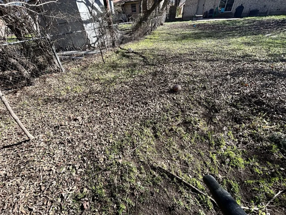 Expert lawn care service in Killeen, TX by D’s Lawncare