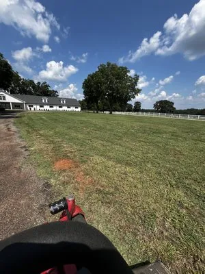 DS Mowing & Panting Logo