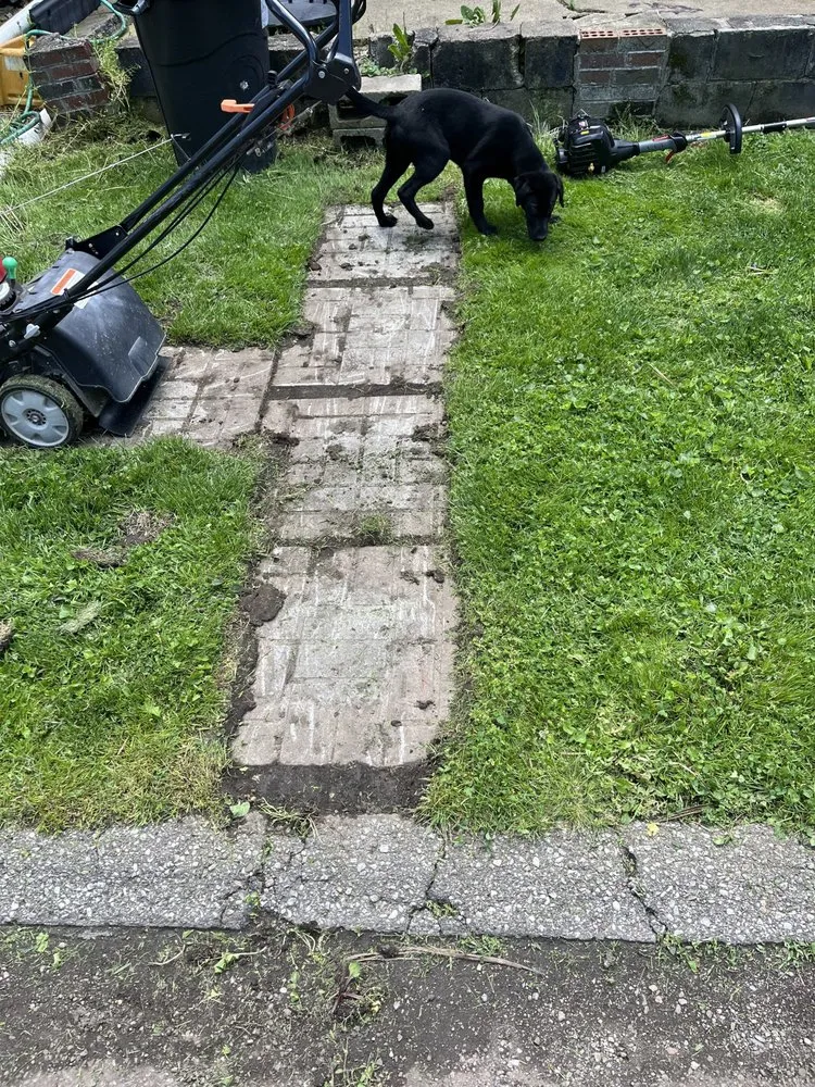 Expert landscape installation experts serving Avonmore, PA - DS Mowing