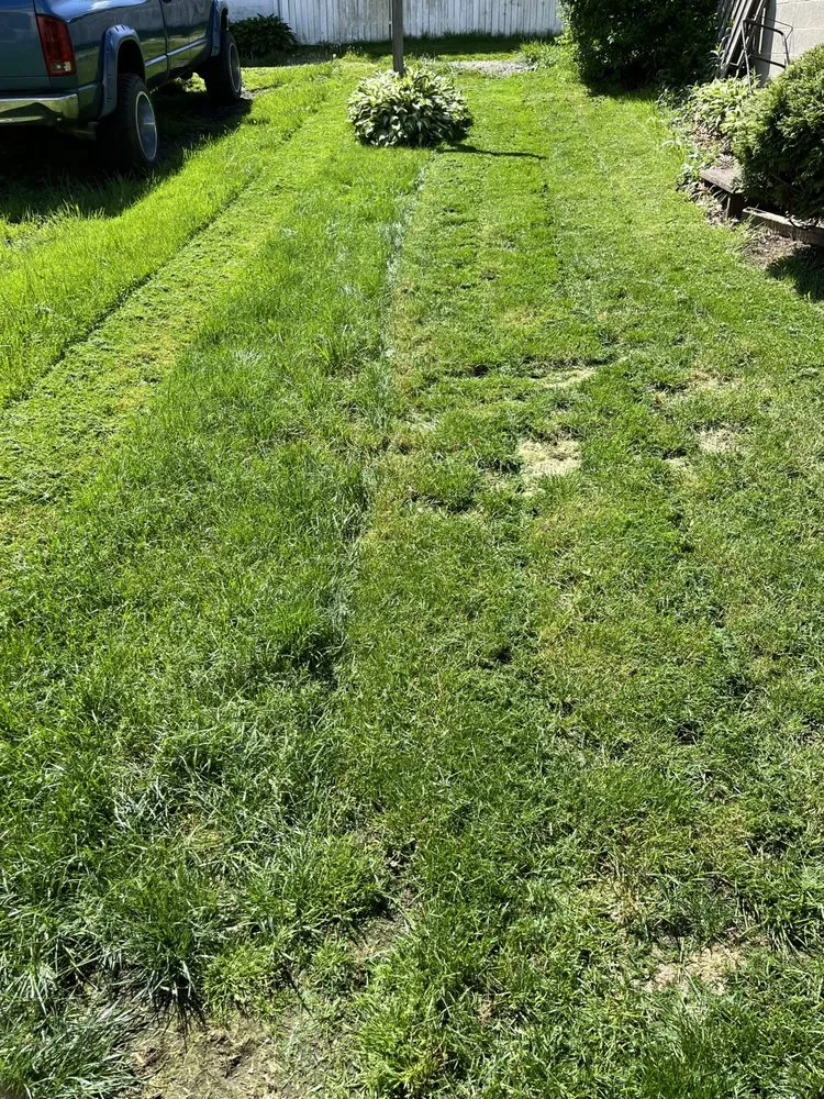 Top-rated landscaping services for outdoor upgrades across Avonmore, PA - DS Mowing