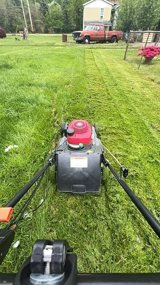 Affordable yard maintenance experts serving Avonmore, PA - DS Mowing