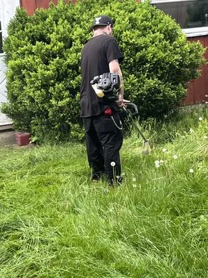 DS Mowing Logo