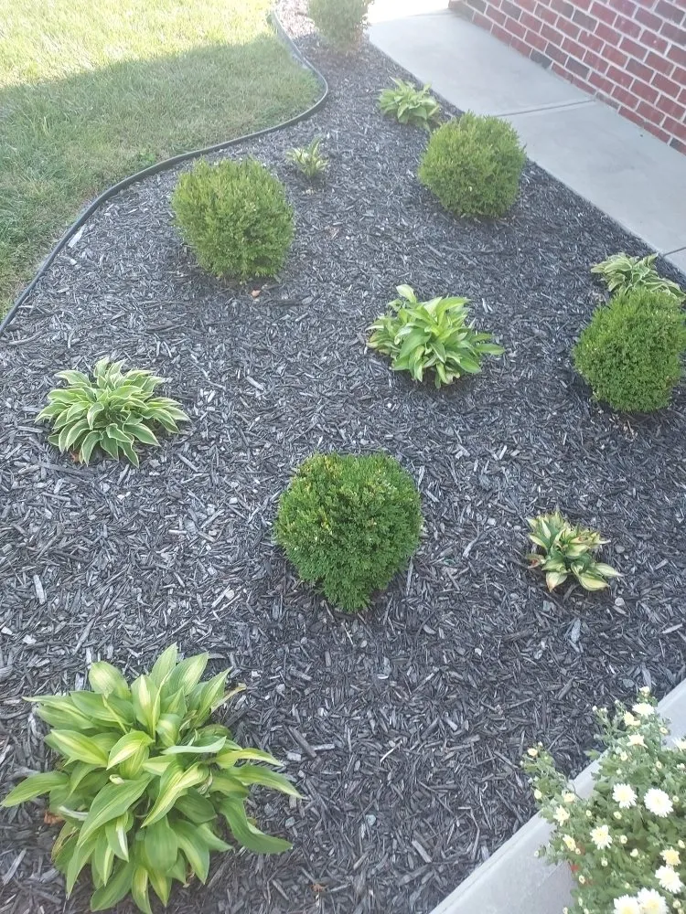 Local landscape design in Greensburg, IN by D's Paint and Landscaping