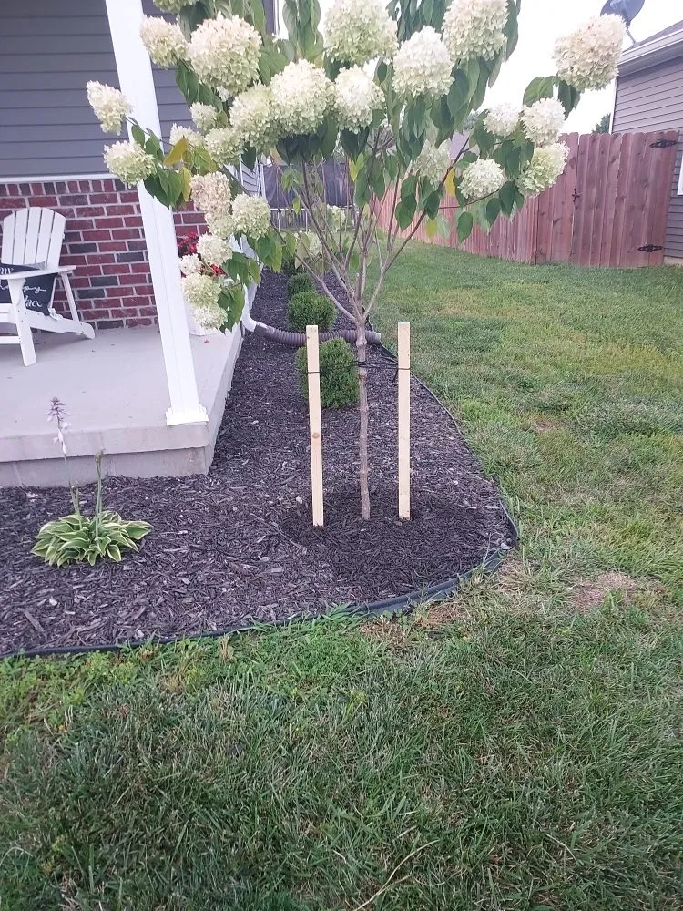 Reliable residential landscaping with custom design in Greensburg, IN by D's Paint and Landscaping