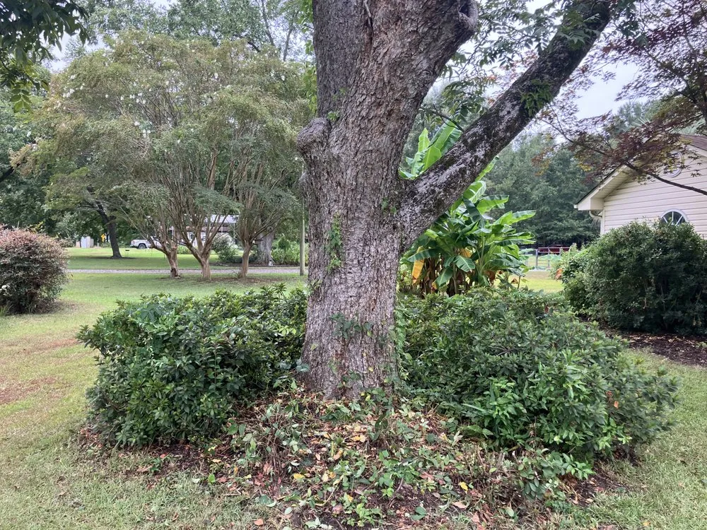 Professional outdoor landscaping for year-round maintenance across Saint Stephen, SC - DS Pressure Washing Company