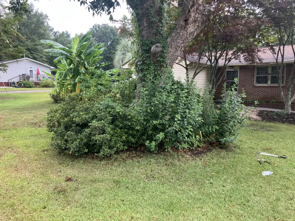 Top-rated yard maintenance in Saint Stephen, SC by DS Pressure Washing Company