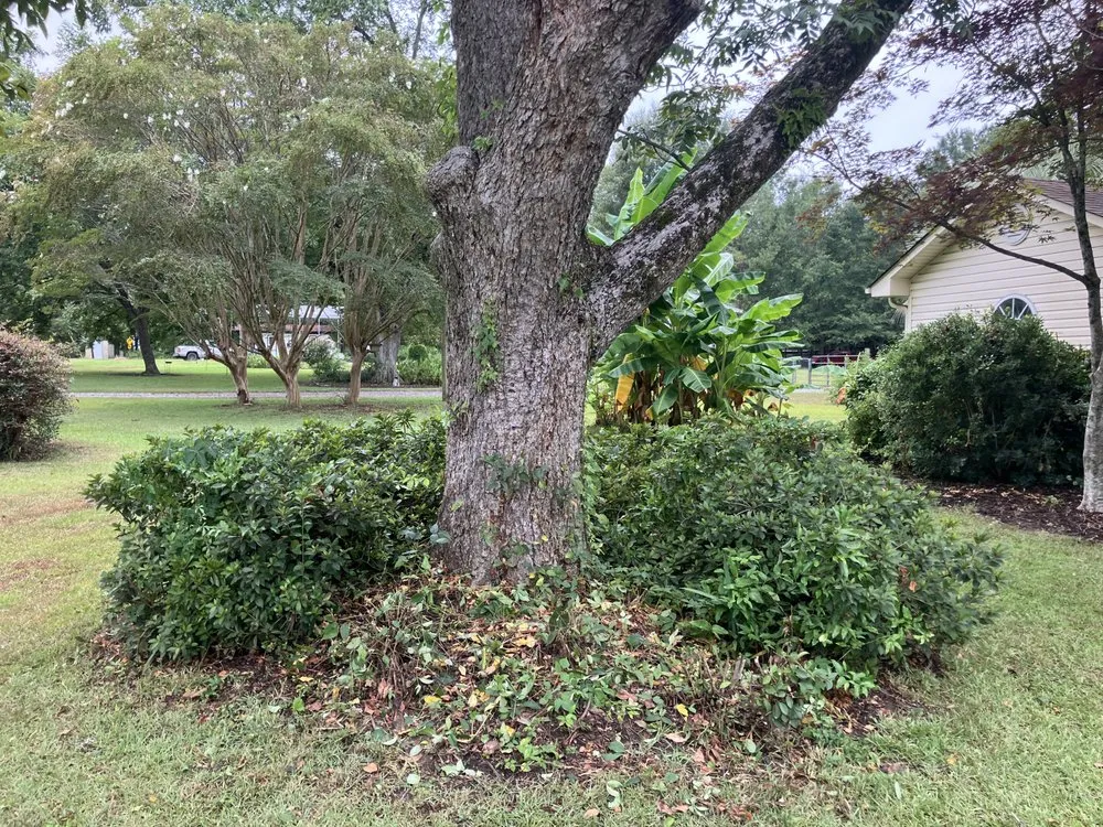 Trusted landscaping services in Saint Stephen, SC - DS Pressure Washing Company