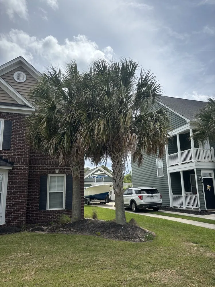 Trusted residential landscaping experts serving Saint Stephen, SC - DS Pressure Washing Company