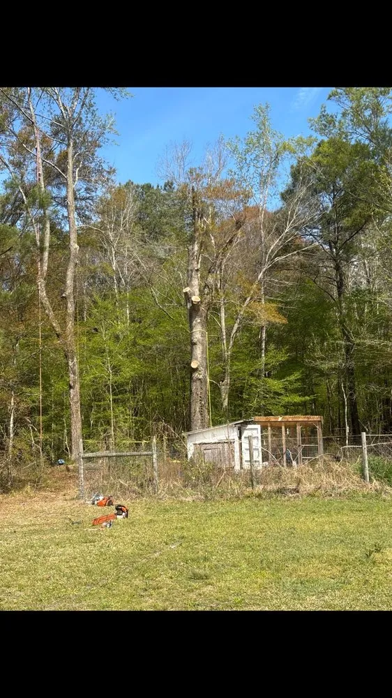 Top-rated lawn mowing service for beautiful yards across Saint Stephen, SC - DS Pressure Washing Company