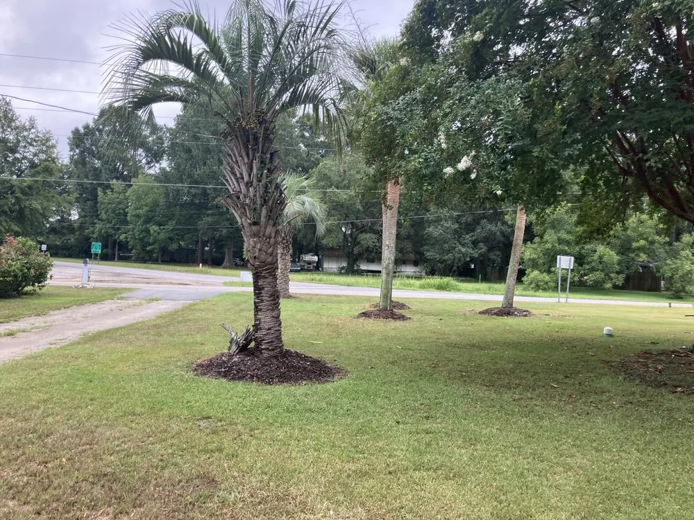 Trusted outdoor landscaping in Saint Stephen, SC - DS Pressure Washing Company