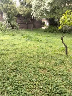 D's Professional landscaping service Logo