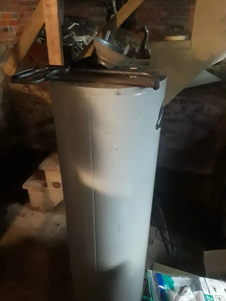 Expert outdoor landscaping in Chester, PA by D&S Property Maintenance