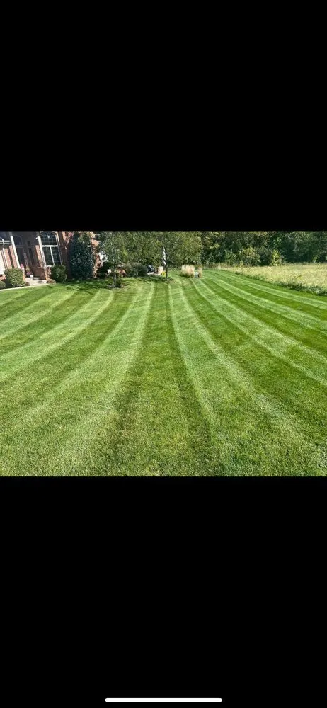 Trusted residential landscaping for outdoor upgrades across Robbins, IL - DS