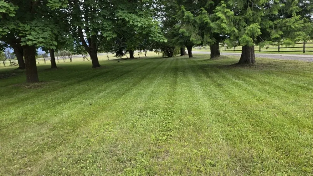 Reliable landscaping services in Spirit Lake, ID - D&S Services