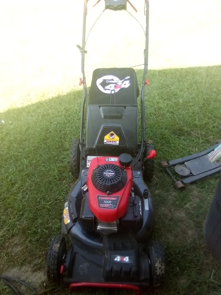 Trusted residential landscaping for year-round maintenance in Greenville, NC by Ds Top Tier Cleaning & Handy Services