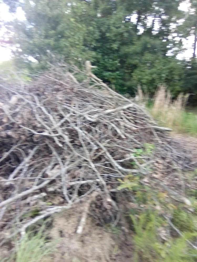 Professional landscape design with custom design in Greenville, NC by Ds Top Tier Cleaning & Handy Services