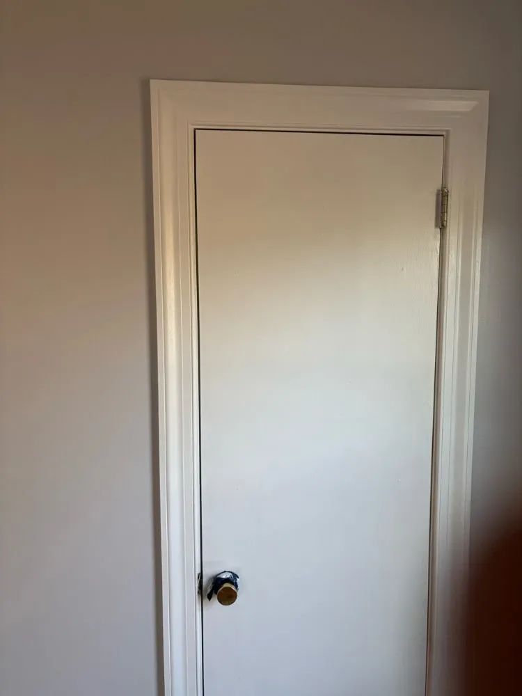 Professional landscape installation for beautiful yards in Greenville, NC by Ds Top Tier Cleaning & Handy Services