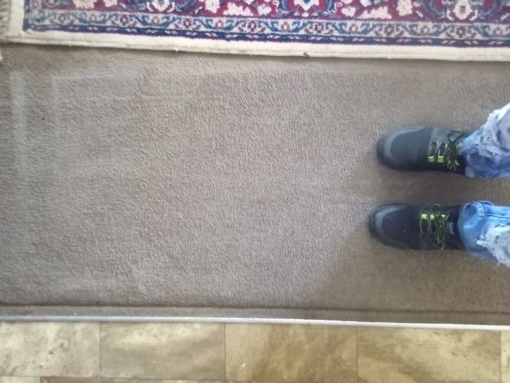 Affordable landscape design in Greenville, NC - Ds Top Tier Cleaning & Handy Services