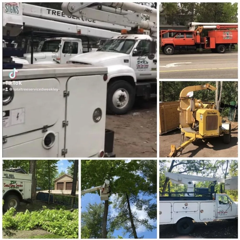 Custom yard cleanup service for year-round maintenance in Park Rapids, MN by D’s Total Tree Service