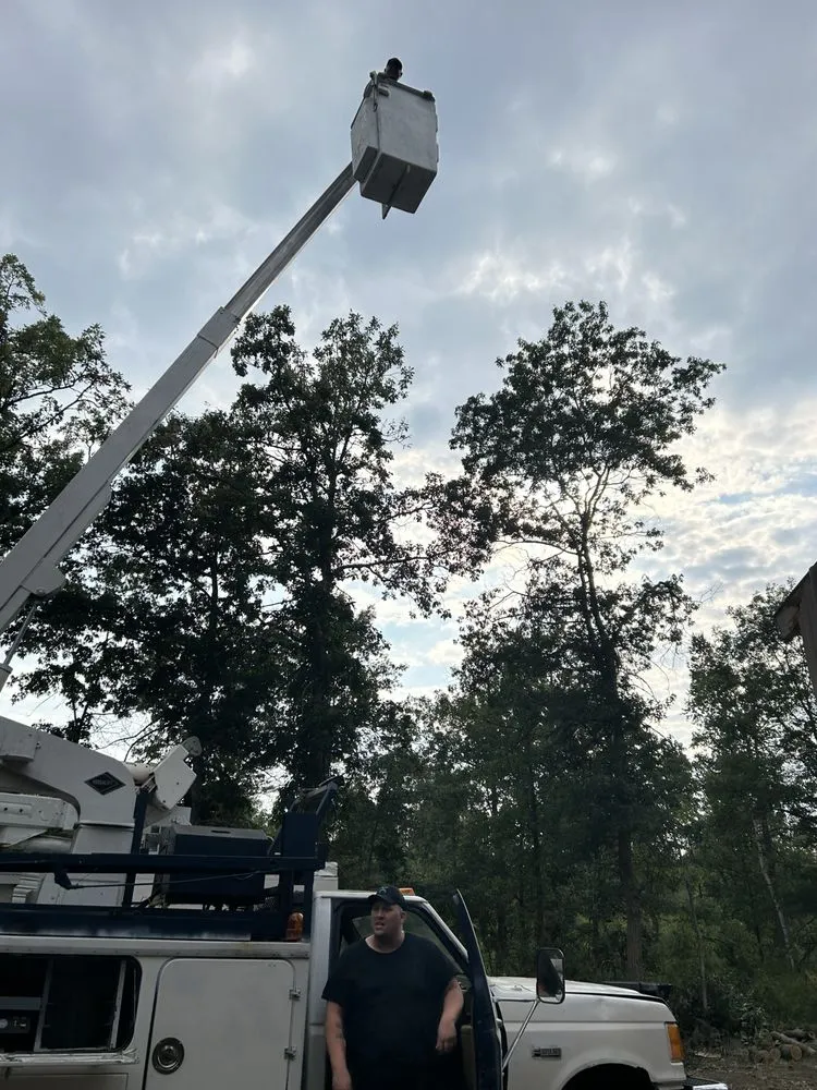 Top-rated landscaping services for homes in Park Rapids, MN by D’s Total Tree Service