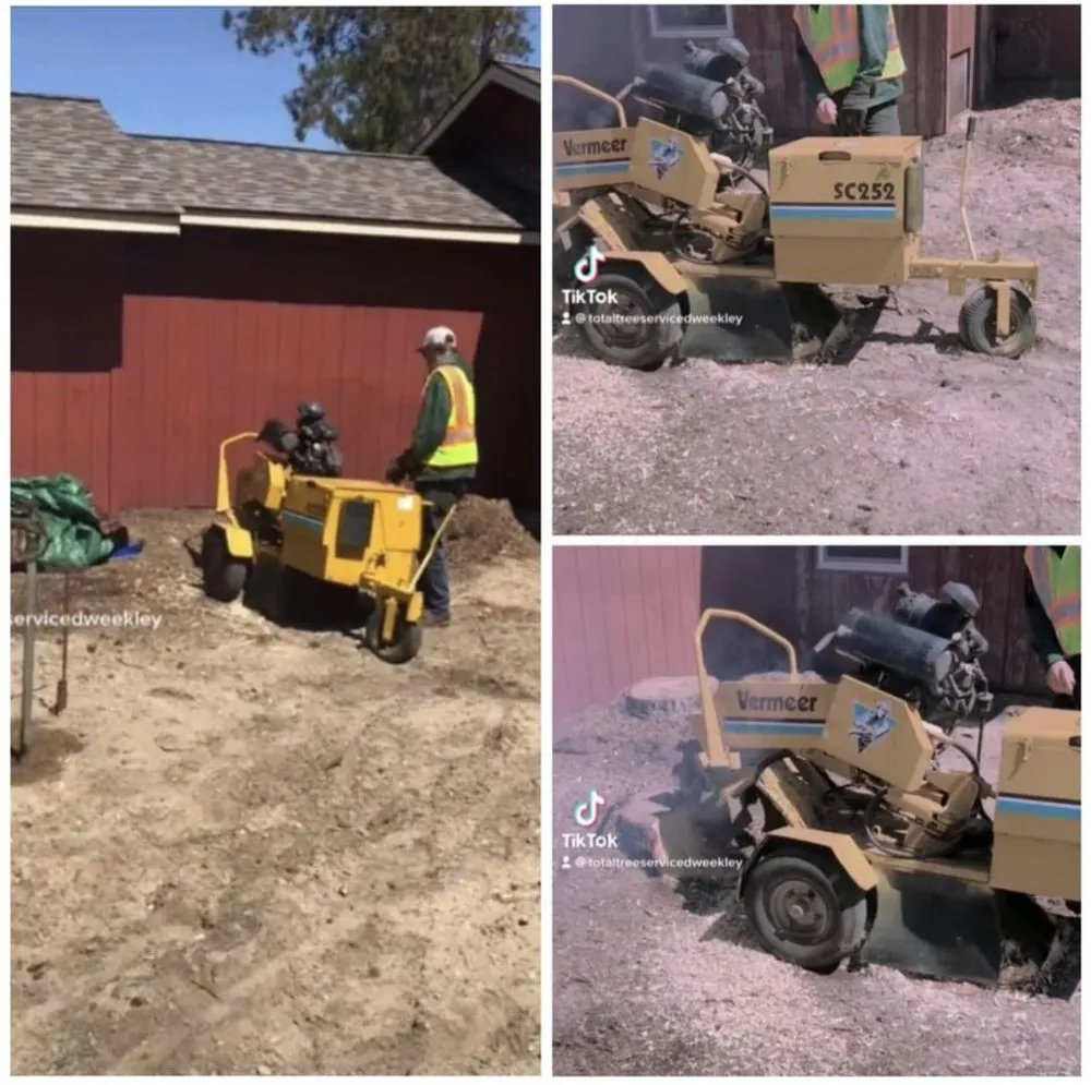 Trusted garden landscaping in Park Rapids, MN - D’s Total Tree Service