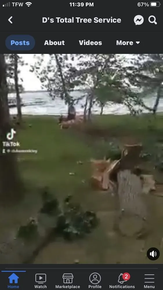 Affordable yard cleanup service for homes across Park Rapids, MN - D’s Total Tree Service