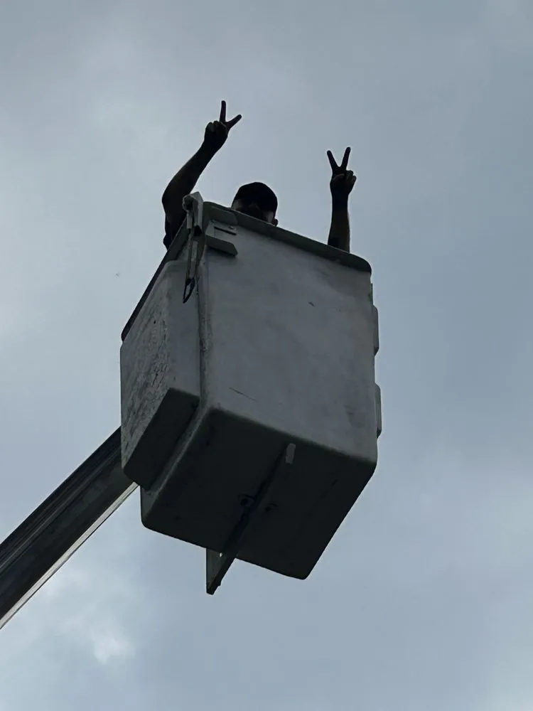 Top-rated landscape installation for year-round maintenance in Park Rapids, MN by D’s Total Tree Service