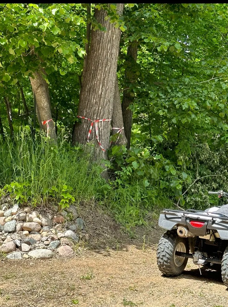 Local landscape installation for homes across Park Rapids, MN - D’s Total Tree Service