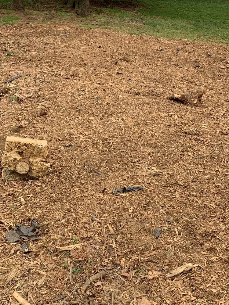 Custom yard cleanup service experts serving Morganville, NJ - D&S Tree Service