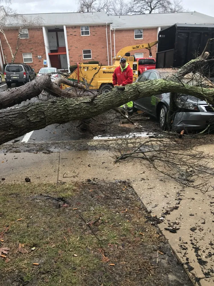 Expert outdoor landscaping in Morganville, NJ by D&S Tree Service