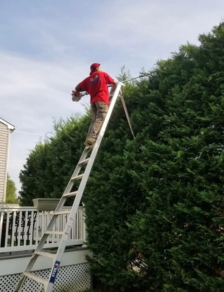 Local outdoor landscaping experts serving Morganville, NJ - D&S Tree Service