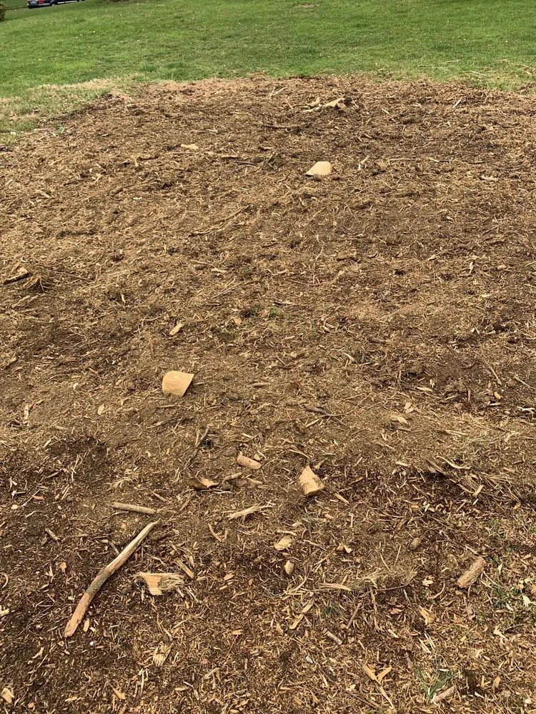 Custom yard cleanup service experts serving Morganville, NJ - D&S Tree Service