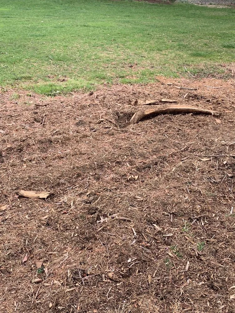 Top-rated residential landscaping experts serving Morganville, NJ - D&S Tree Service