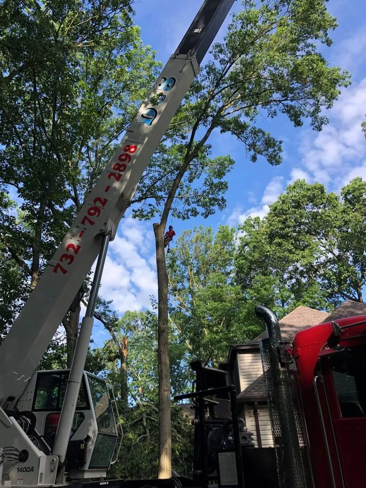 Custom landscape design for residential properties across Morganville, NJ - D&S Tree Service