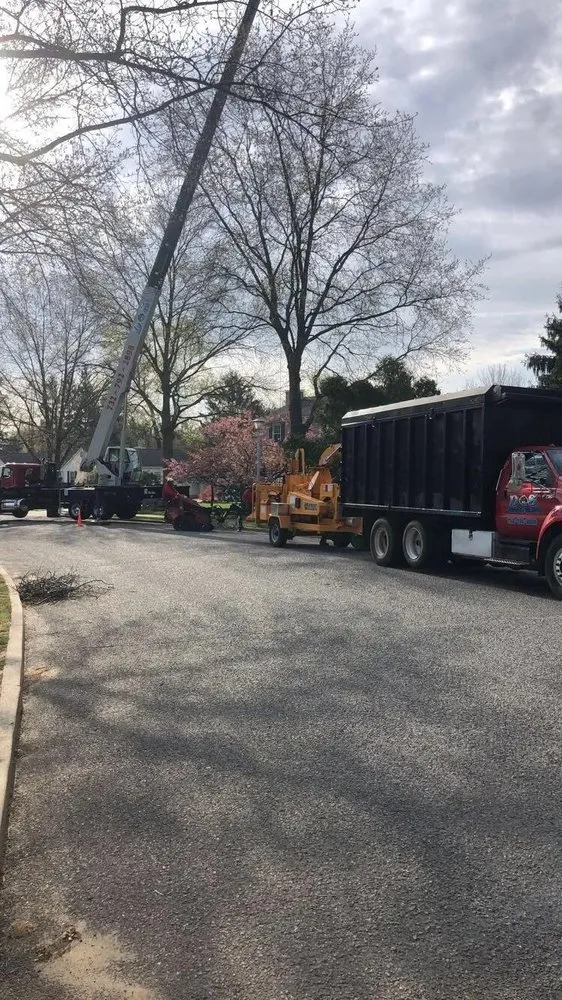 Custom landscaping services for year-round maintenance across Morganville, NJ - D&S Tree Service