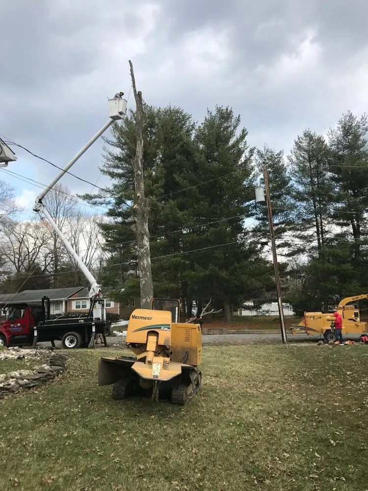 Top-rated landscaping services for outdoor upgrades across Morganville, NJ - D&S Tree Service