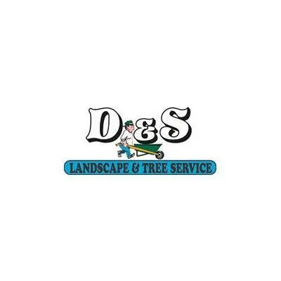 Professional yard cleanup service in Morganville, NJ - D&S Tree Service