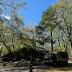 Expert lawn care service in Ruby, NY by D's Trees