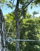 Local residential landscaping for homes in Ruby, NY by D's Trees