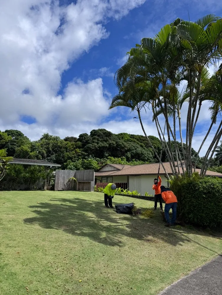 Trusted lawn mowing service in Waimanalo, HI by DS Yard Maintenance