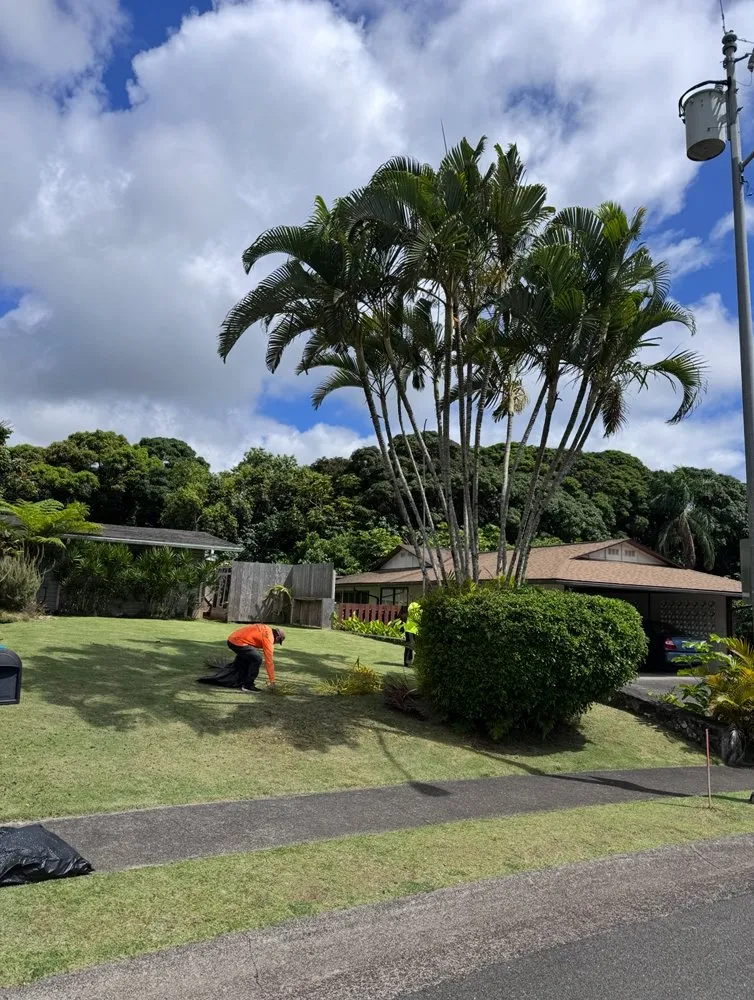 Custom landscaping services experts serving Waimanalo, HI - DS Yard Maintenance