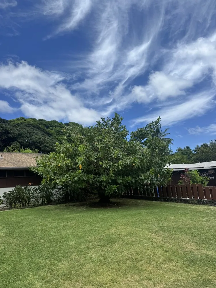 Trusted landscaping services for homes in Waimanalo, HI by DS Yard Maintenance