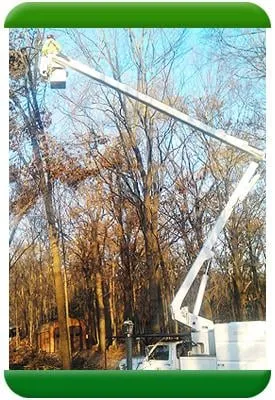 Affordable lawn mowing service in Bolton, CT - D&S Yardworks