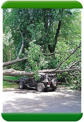 Affordable landscape design for residential properties across Bolton, CT - D&S Yardworks